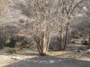 DSCN1331