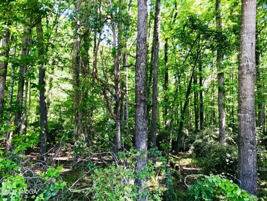 5963 Rivoli Dr, Macon, GA 31210 - photo 3