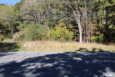 1411 Martin Luther King jr Blvd, Siler City, NC 27344 - photo 3