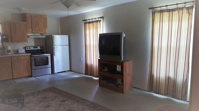 Kitchen / Den area