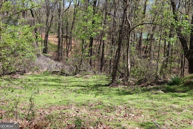 0 Spring Crest Rd unit 10509769, Cleveland, GA 30528 - photo 2