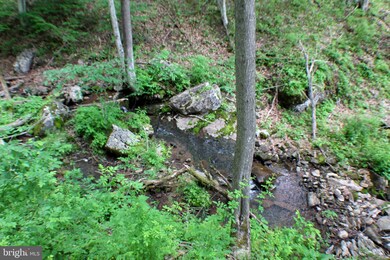 46 +/- acs Lower Timber Ridge Rd, Seneca Rocks, WV 26884 - photo 2