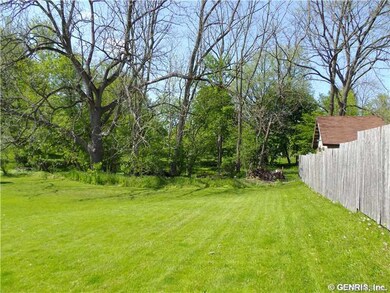 Backyard.