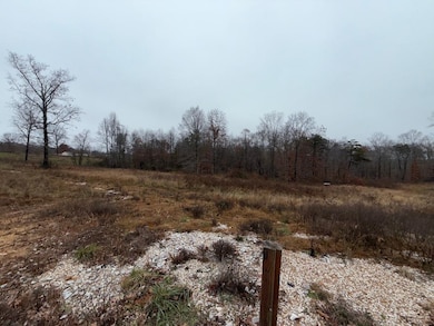 699 Wolf Rd, Upper Tygart, KY 41164 - photo 6