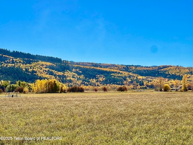 Canyon Wren fall photo5