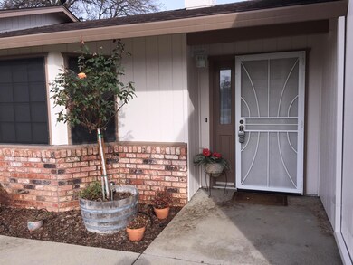 SECURITY FRONT DOOR