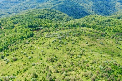 0 Westbourne Rd unit 1274842, Duff, TN 37729 - photo 5