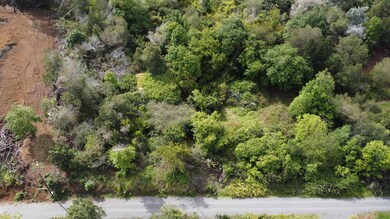 0 Haleakala Hwy unit 398383, Kula, HI 96790 - photo 3