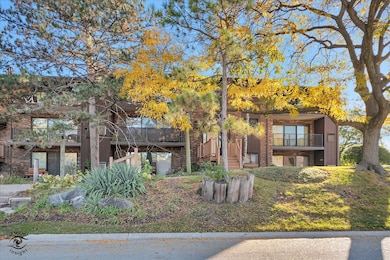 1327 Cass Ln E unit 301, Westmont, IL 60559 - photo 2