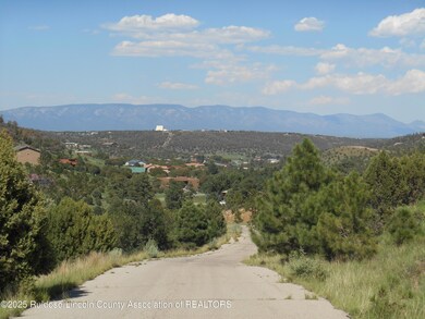 0 Stable unit 132537, Alto, NM 88312 - photo 4