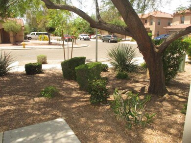 4th St front yard