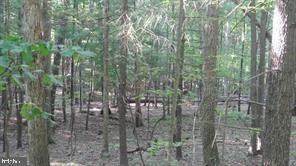 0 Calypso Trail unit WVMO2006988, Great Cacapon, WV 25422 - photo 3