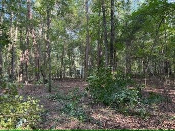 111 N Hunter Ln, Troy, AL 36079 - photo 4