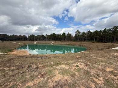 23705 Birch Grove Rd, Montgomery, TX 77316 - photo 3