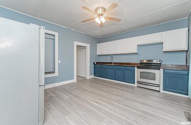 561 S Elm St, Lincoln, IL 62656 - photo 3