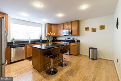 4800 Coyle Rd unit 507, Owings Mills, MD 21117 - photo 7