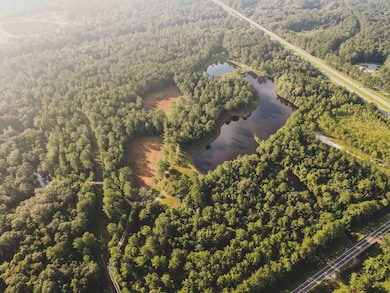 210 Egg & Butter Rd, Ochlocknee, GA 31773 - photo 6