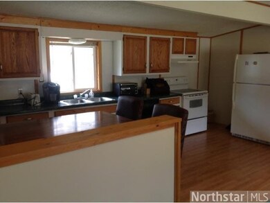 35887 Nighthawk Trail, Cushing, MN 56443 - photo 4