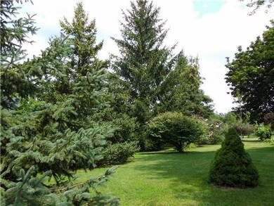 Yard/Garden Super private north side of home!
