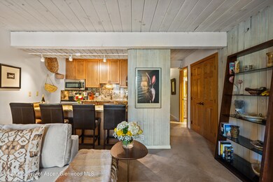 131 E Durant Ave unit 202, Aspen, CO 81611 - photo 5