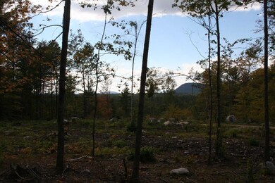 Additional views from rear of lot.
