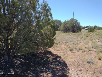 IMG_20220917_112602029