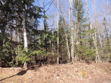 ON S Shore Ln unit 5.37 Ac., Deerbrook, WI 54424 - photo 5