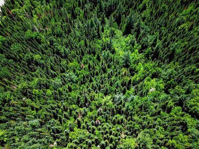 2915 U S 3, Dalton, NH 03598 - photo 2