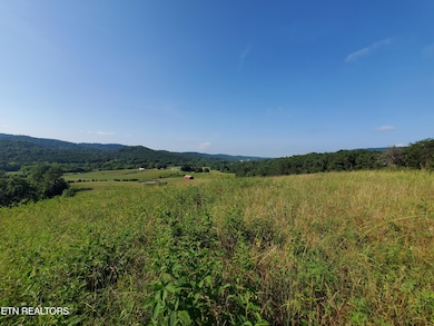 2783 Rutledge Pike, Blaine, TN 37709 - photo 7