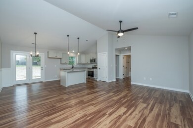 203 Southside Dr, Laurens, SC 29360 - photo 6