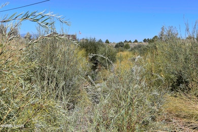 330 Veris Ct unit 1, Gardnerville, NV 89410 - photo 3