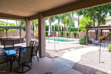Backyard 1