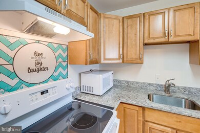 Columbia Towers Condominium unit 517, Silver Spring, MD 20904 - photo 5