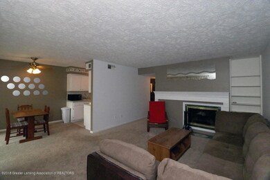 2024 Hamilton Rd unit 206 Unit 7, Okemos, MI 48864 - photo 3