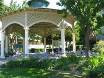 Carousel Image