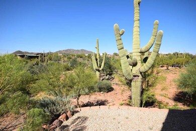 desert landscaping with Saguaros
