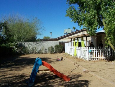 backyard 3