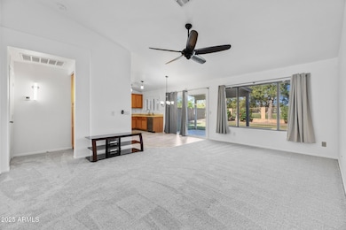 1250 W Canary Way Chandler - 234