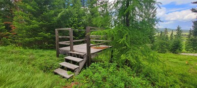 238 Bison Circle Dr, Kalispell, MT 59901 - photo 5