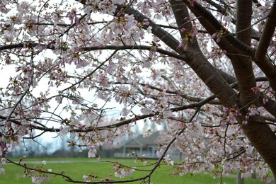 185 Slat Mill Ln, Fairfield, VA 24435 - photo 3