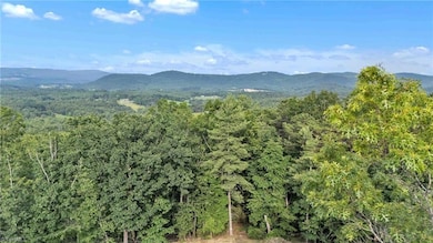 0 Bell Mountain Rd unit 1188541, Walnut Grove, NC 28635 - photo 5