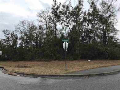 Lot 20 Saralan Garden Dr, Crawfordville, FL 32327 - photo 2