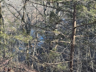 60 B Tablerock Rd, Evening Shade, AR 72532 - photo 6