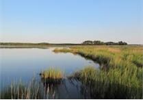 Preserve Area waterway