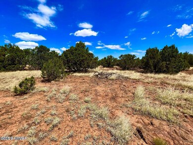 85 Co Rd 8070 --, Concho, AZ 85924 - photo 7