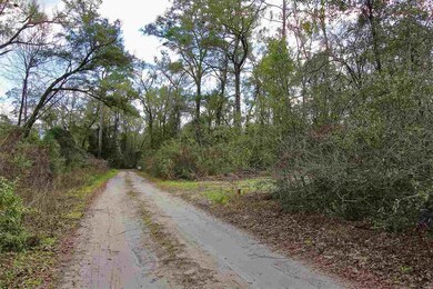 0 Honor Dr unit 315967, Crawfordville, FL 32327 - photo 4