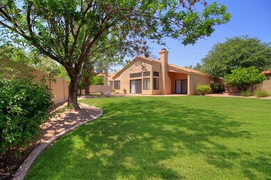 5 Backyard 1