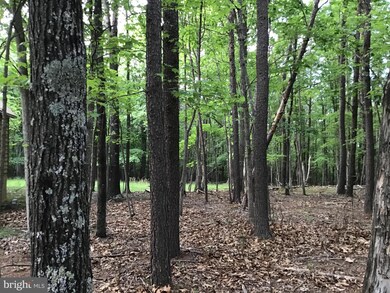 1765 Holly Hill Ln, Berkeley Springs, WV 25411 - photo 5