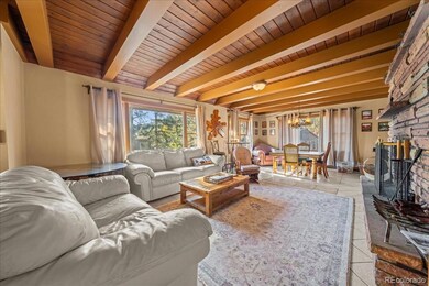 40 Ski Rd, Allenspark, CO 80510 - photo 5