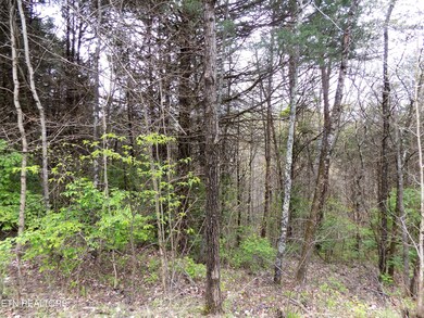 Wooded Acreage
